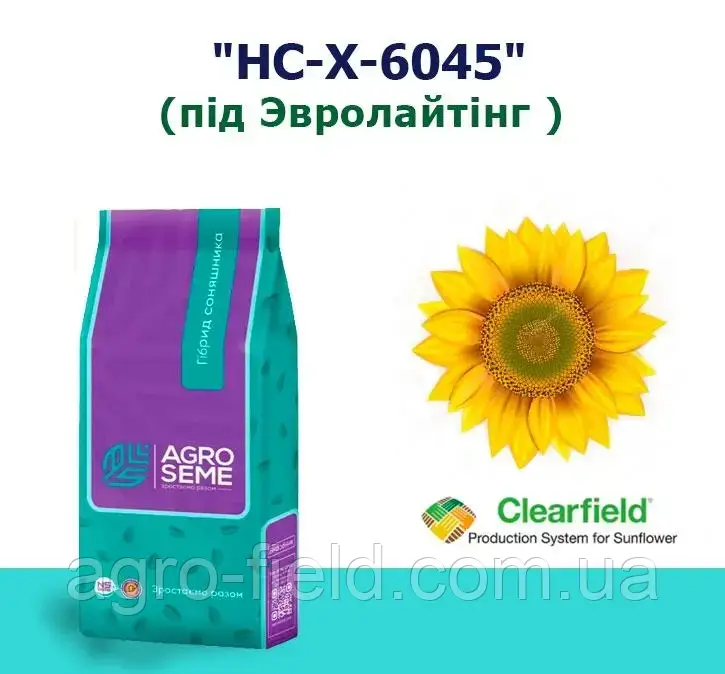 Насіння соняшнику НС-Х 6045 (Під Євролайтинг 2024 р), фото 1