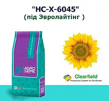 Насіння соняшнику НС-Х 6045 (Під Євролайтинг 2024 р)