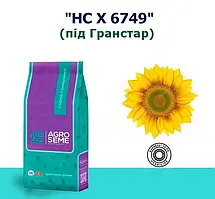 Насіння соняшнику НС Х 6749 (Під Гранстар Експресс)