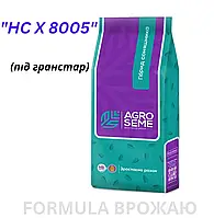 Насіння соняшника HC X 8005 (під гранстар експрес 2024г)