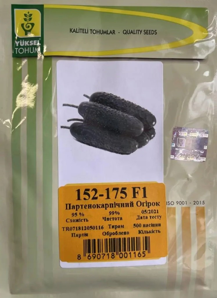 Огірок 152-175 F1 500 шт (Yuksel Seeds), насіння огірків стійких до хвороб для відкритого ґрунту, фото 1