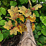 Штучна гілка листя клена 63 см, фото 2