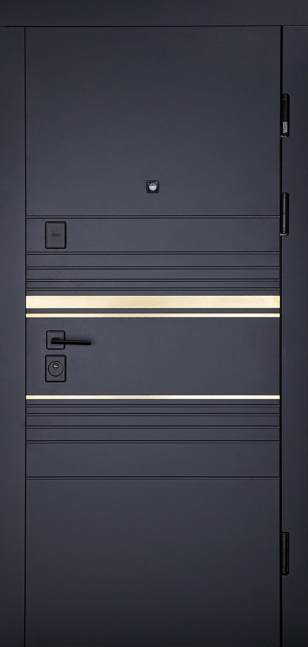 Вхідні двері модель Goldy комплектація Megapolis MG3 ABWEHR (545), фото 1