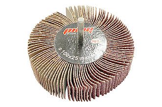 Круг пелюстковий в оправці Sprut 100 x 25мм x Р80 (П-KLO-14190)