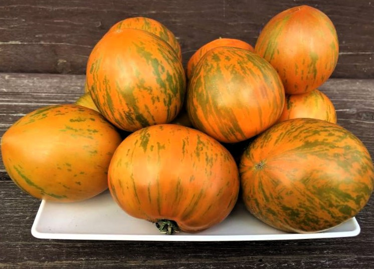 Насіння томату Гном Сяйво Вавилону (Babylon's Glow Dwarf) 10 нас, фото 1