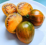 Насіння томату Гном Сяйво Вавилону (Babylon's Glow Dwarf) 10 нас, фото 3