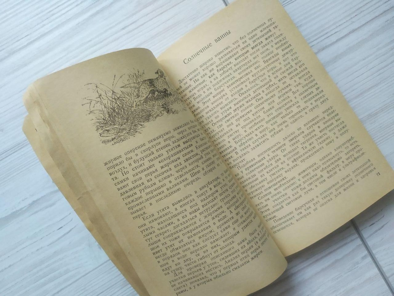 Product image preview