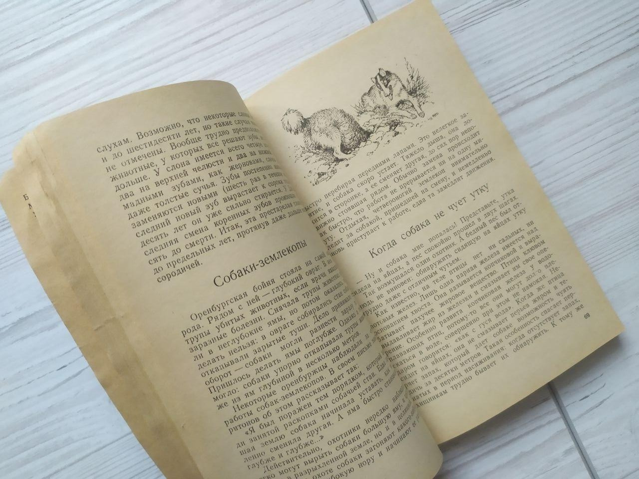 Product image preview