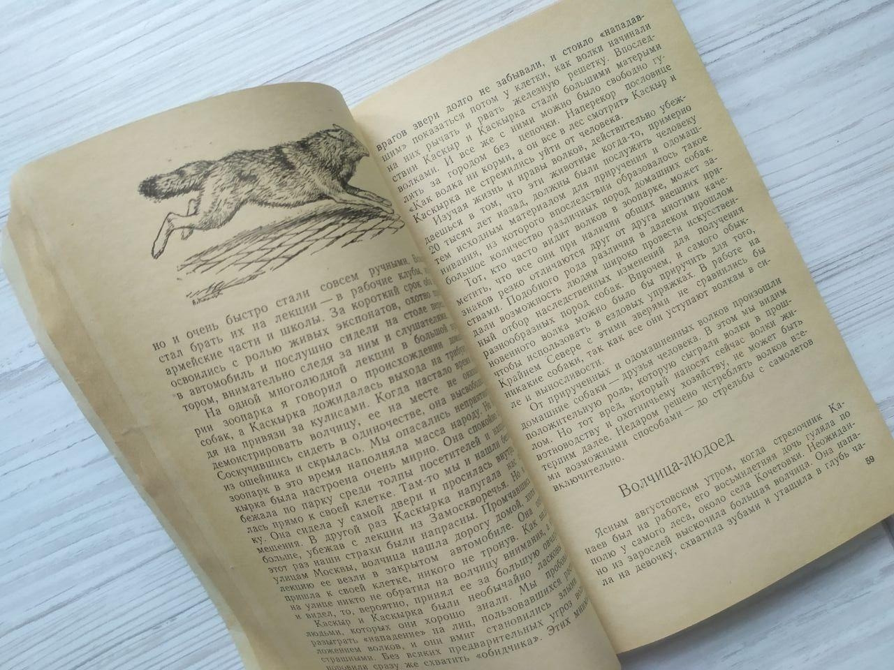 Product image preview