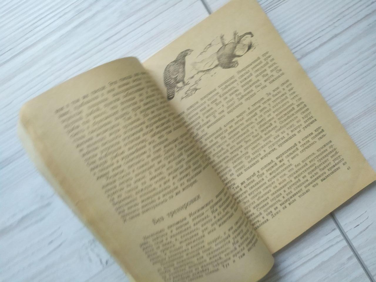 Product image preview