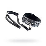 Нашийники та повідки