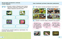 2 клас НУШ ДІДАКТА. Я досліджую світ. Робочий зошит до підручника І. Грущинської, З. Хитрої. ЧАСТИНА 2, фото 4