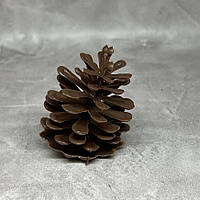 Декоративна шишка (пластик), розмір 4,5*5 см, коричневий, арт 019012, 1 шт, Коричневий