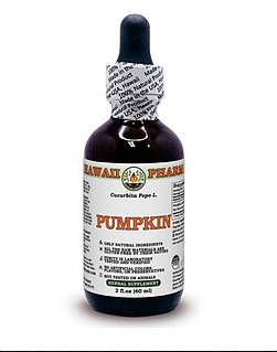 Pumpkin Alcohol-FREE Liquid Extract – Насіння гарбуза (Cucurbita pepo L.) Glycerite