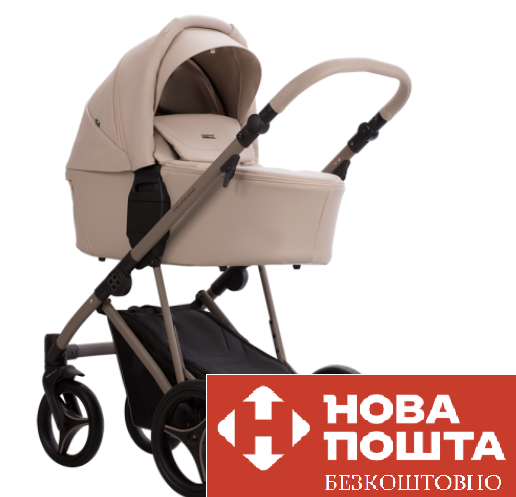 Коляска 2 в 1 Bebetto PELPASSO PRO 02 KASHMIR 503.43.25.K02, фото 1