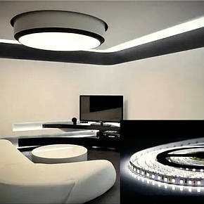 Світлодіодна стрічка OEM ST-12-2835-120-NW-20-V2 915 Lm/m нейтральна біла, негерметична, 1м, фото 1