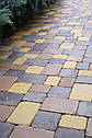 Тротуарна плитка Плац Золотий мандарин, фото 5
