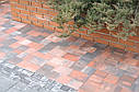 Тротуарна плитка Плац Золотий мандарин, фото 3