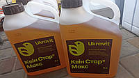 Гербіцид Квін Стар Макс Укравіт, 5 л від бур янів для с/г культур