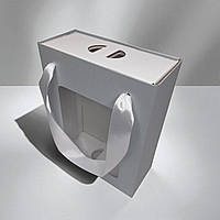 Коробка подарункова з пакетом (210х160х70мм.) сріблясто-біла