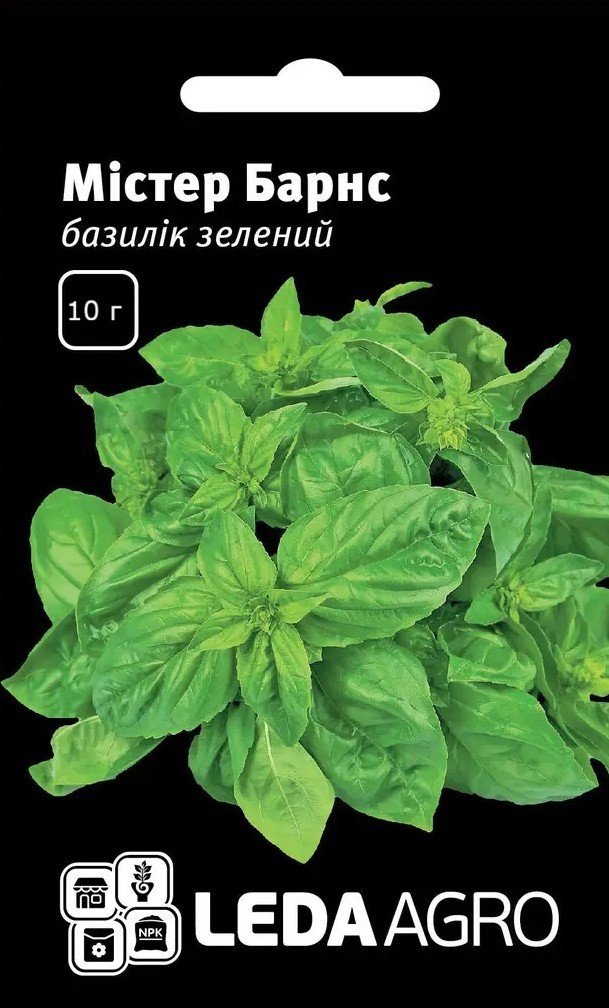 Насіння Базиліку зелений Містер Барнс, лікарський пряний 10 г (LedaAgro), фото 1