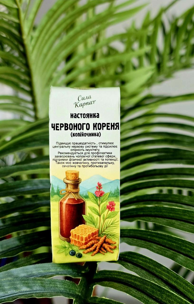 Настоянка червоного кореня