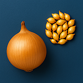 Цибуля сіянка Сибір (Голландія, Bejo), 1кг