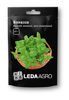 Насіння Базиліку зелений Боназза, генувезький тип, стійкий до хвороб 10 г (LedaAgro)
