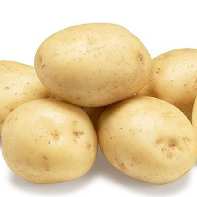 Насіннєва картопля Рів’єра (Riviera) 50-60 днів, 2 репродукція