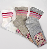 Шкарпетки підліткові полоска асорті 19-21 р. (12 пар!) (Демісезонні/літо) Варос, фото 8