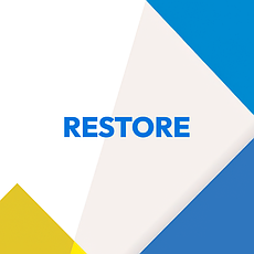 RESTORE — ВСЕ ДЛЯ ДОГЛЯДУ, РЕСТАВРАЦІЇ І ФАРБУВАННЯ ШКІРИ