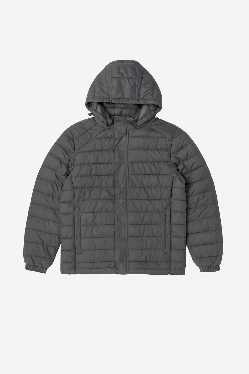 Чоловіча куртка сіра демісезонна (2501), фото 1