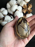 Септарія натуральний камінь мінерал яйце з септарії. 67*45 мм., фото 3