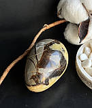 Септарія натуральний камінь мінерал яйце з септарії. 67*45 мм., фото 6