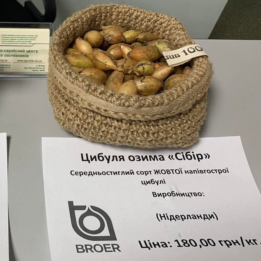 Сибір F1, 1 кг цибуля сіянка, фото 1