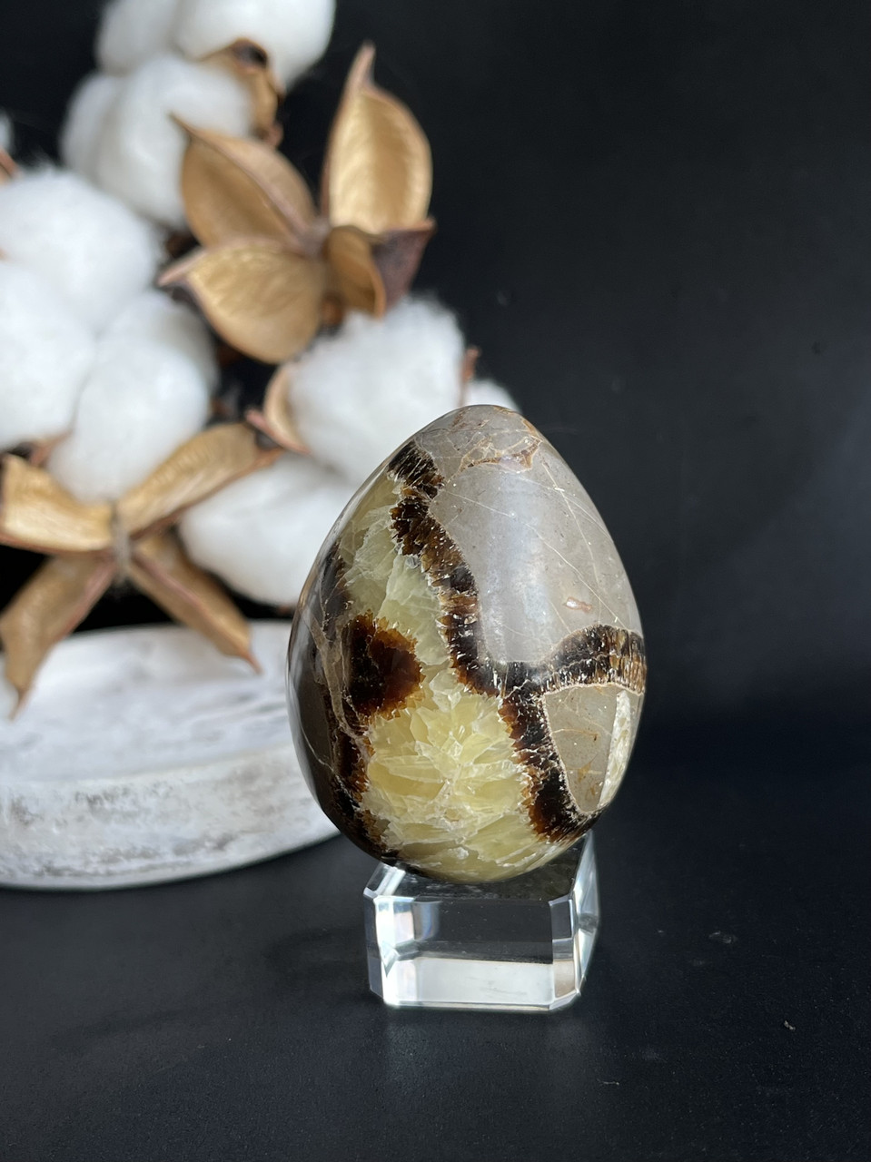 Септарія натуральний камінь мінерал яйце з септарії. 55*41,5 мм, фото 1