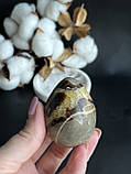 Септарія натуральний камінь мінерал яйце з септарії. 55*41,5 мм, фото 6