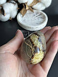 Септарія натуральний камінь мінерал яйце з септарії. 55*41,5 мм, фото 5