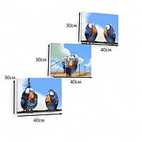 Картина для дитячої кімнати Веселі пташки Настінний декор в дитячу 30x40см 3штуки, фото 2
