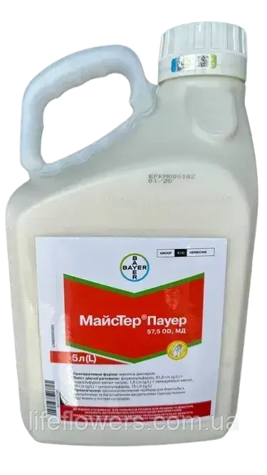 Гербіцид Майстер пауер 5л