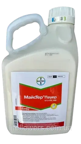Гербіцид Майстер пауер 5л, фото 1