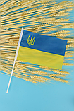 Прапор України 14х21см з тризубом настільний 780012, фото 2