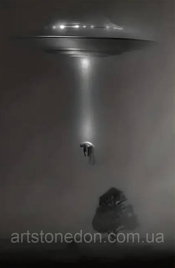 Картина постер Викрадення, фото 1