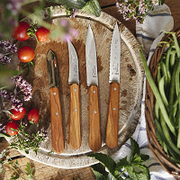 Кухонні ножі Opinel Essentials