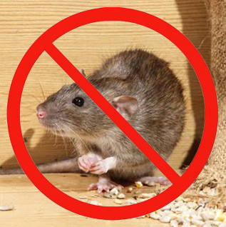 Засоби від гризунів та птахів