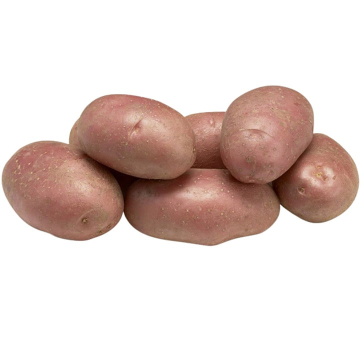 Насіннєва картопля Еволюшн (Evolution) 70-80 днів, 2 репродукція