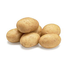 Насіннєва картопля Арізона (Arizona) 70-80 днів, 2 репродукція