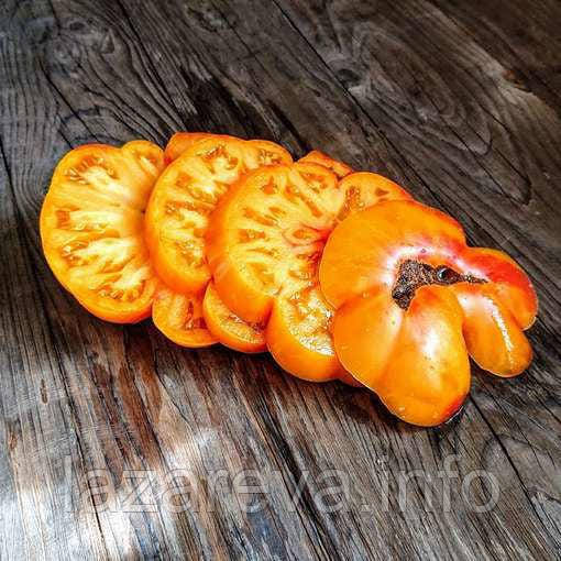 Насіння томату Гном Щасливий Вихор (Dwarf Lucky Swirl) 10 нас, фото 1