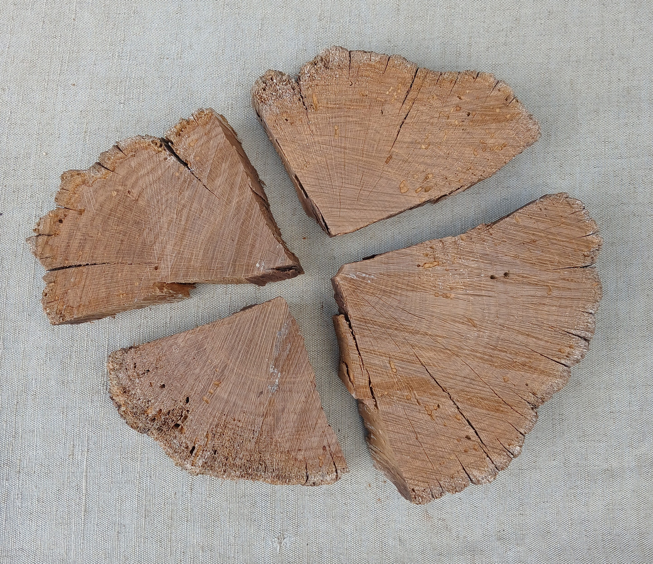 Фрагменти зрізу дерева, для творчості та виробів