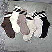 Шкарпетки жіночі 6 пар високі «Пастель» розмір 36-40 арт. 313.6, фото 3